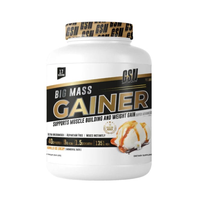 GSN BIG MASS GAINER