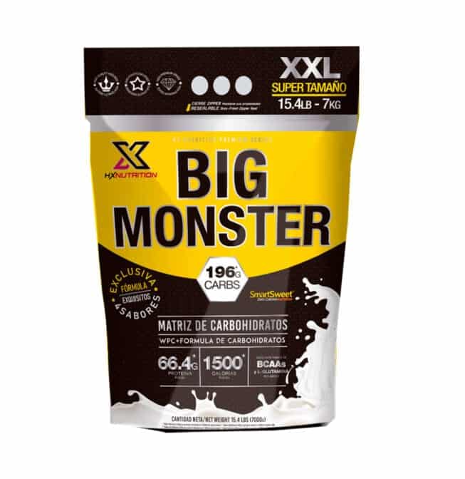 big monster mass gainer hx