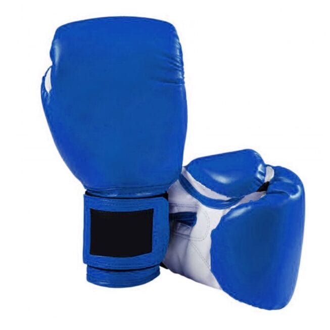 Gants de box