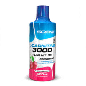 L Carnitine 3000 Scenit Nutrition