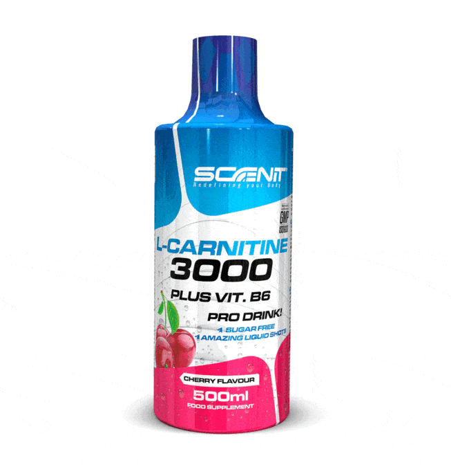 L Carnitine 3000 Scenit Nutrition