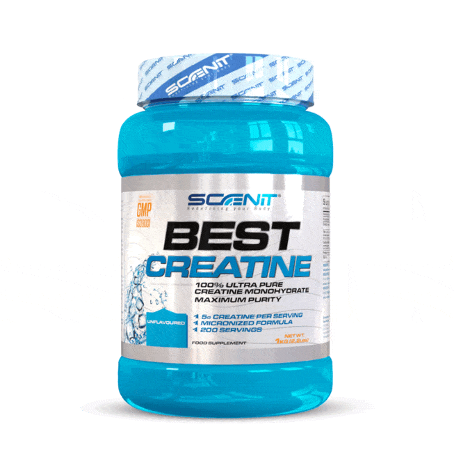 Best Creatine Scenit Nutrition